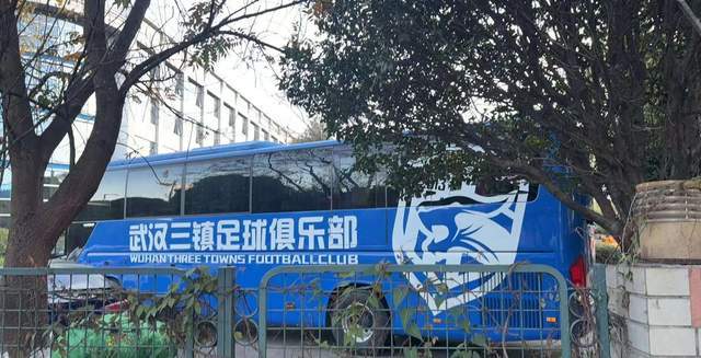 开云体育入口-中超16强巡礼·武汉三镇：五外援齐整，前中超冠军能否复兴？